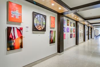 Baca west art gallery